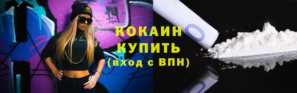 ПСИЛОЦИБИНОВЫЕ ГРИБЫ Михайлов