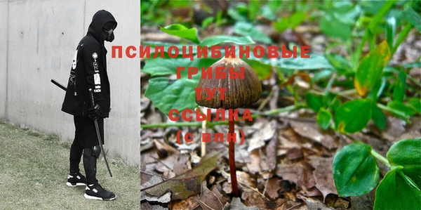 мет Абаза