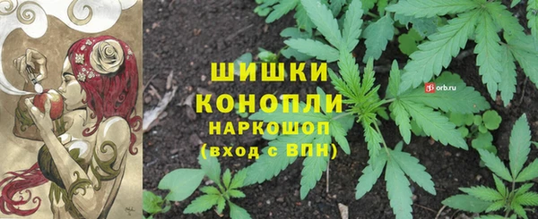 PSILOCYBIN Абинск