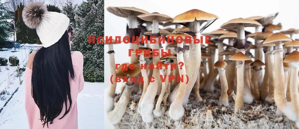 PSILOCYBIN Абинск